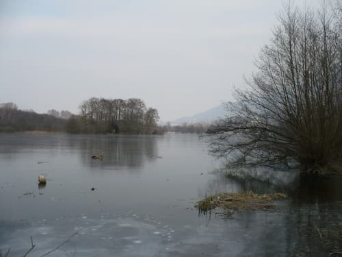 Le lac sous l'emprise du froid