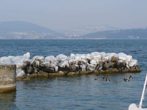 Scultures sur glace