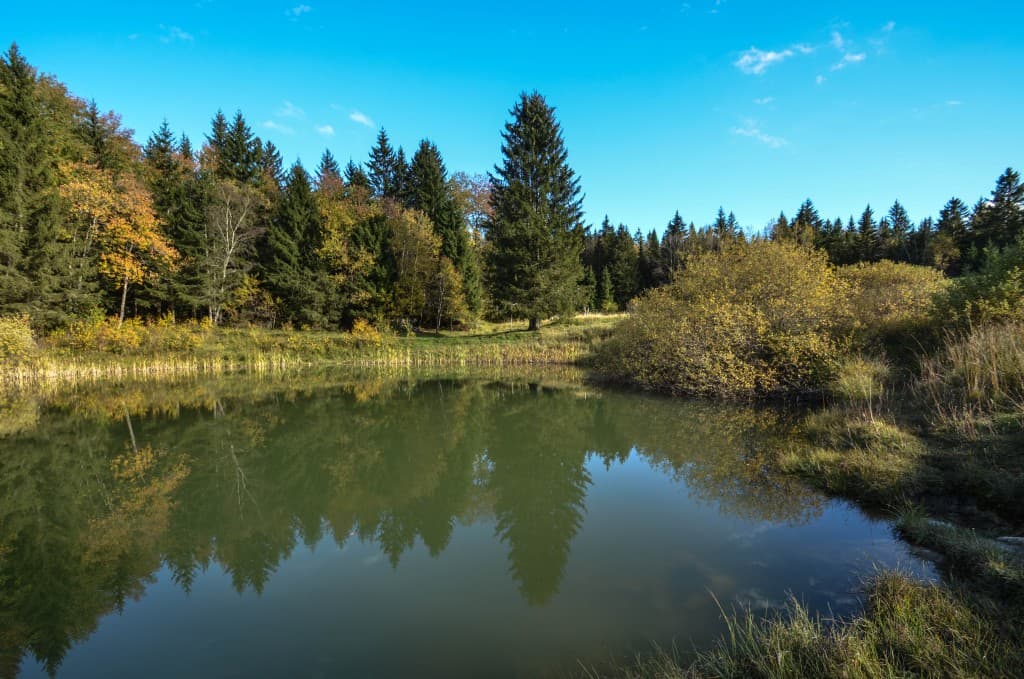 Lac du Mariet