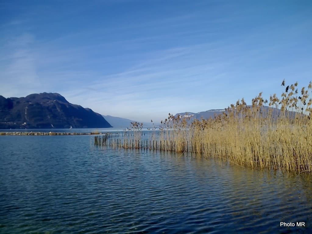 le lac du Bourget -les Mottets -février 2014
