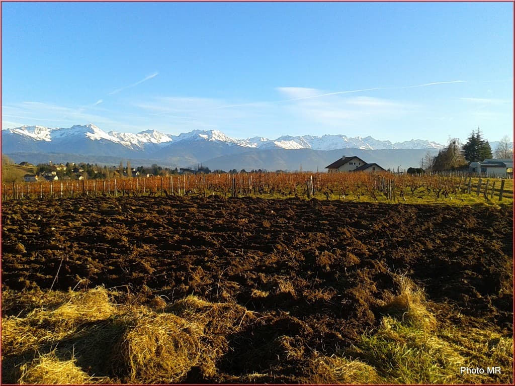 montagnes et Vignobles   12 / 01/2015
