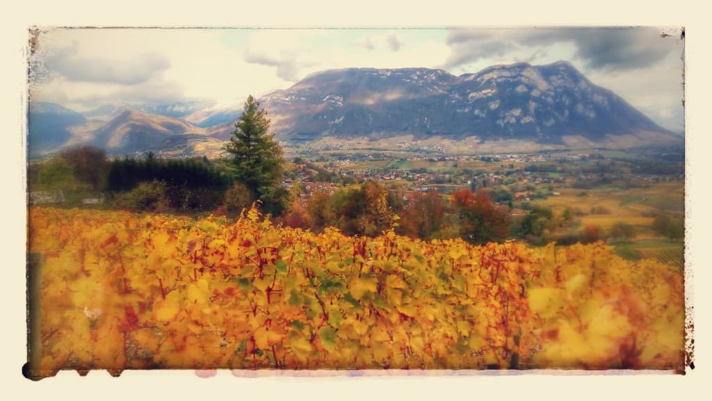 Couleurs d'automne 