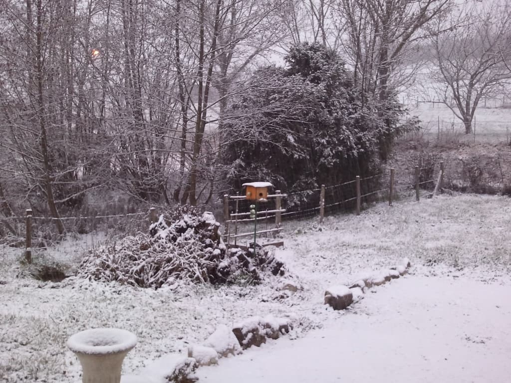 Neige au jardin... Pauvres oiseaux ^^