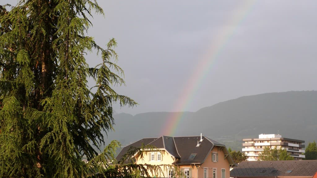 pour la fête des mères
