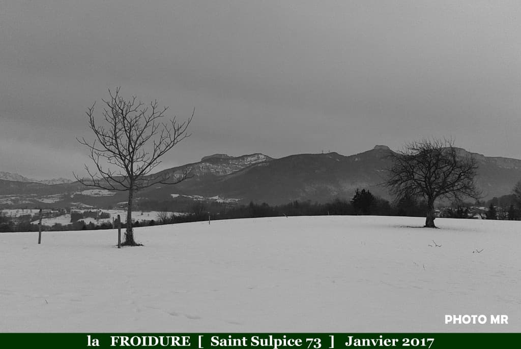 FROIDURE HIVERNALE à ST SULPICE 01 2017