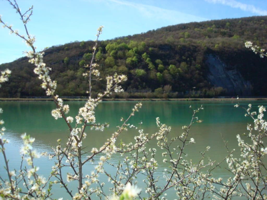 le printemps est bien au rendez-vous