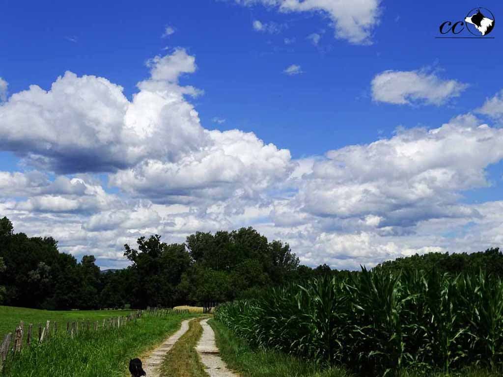 nuages à la Motte Servolex