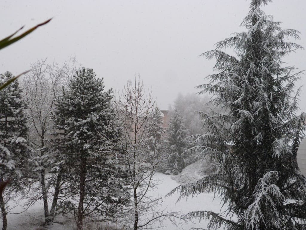 réveil sous la neige