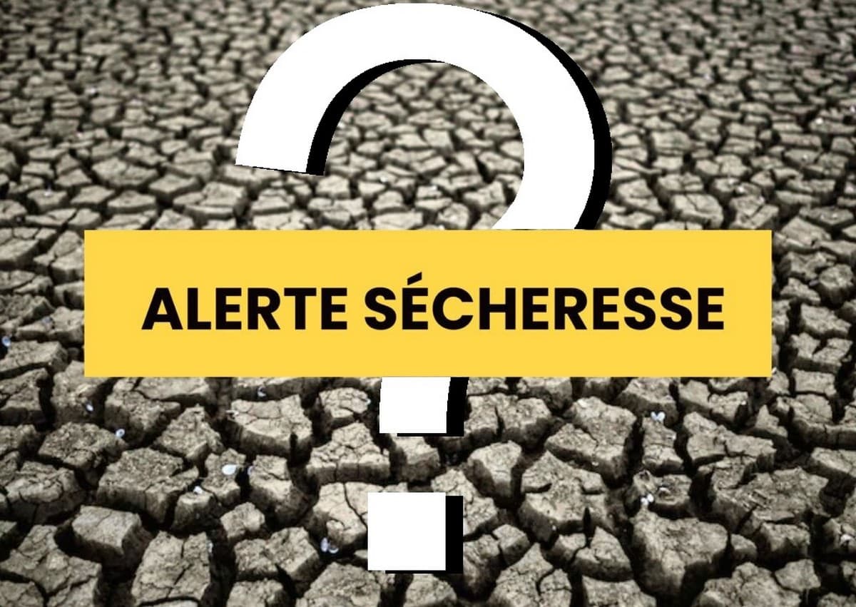 ALERTE : la sécheresse s'aggrave en cette fin d'été !