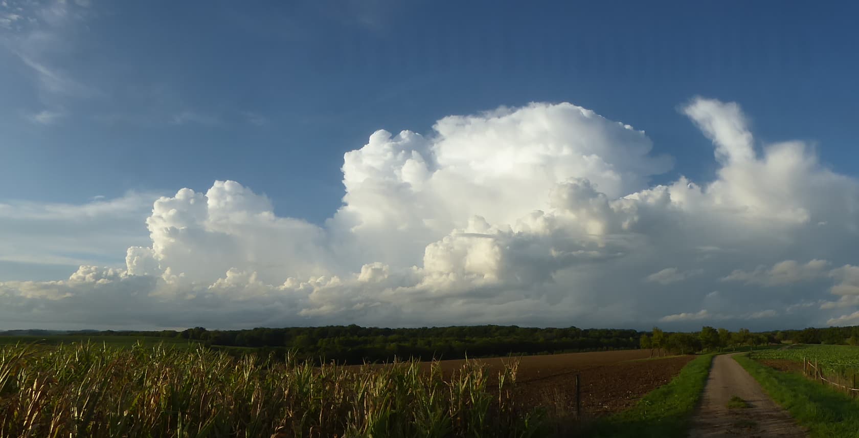 Cumulonimbus