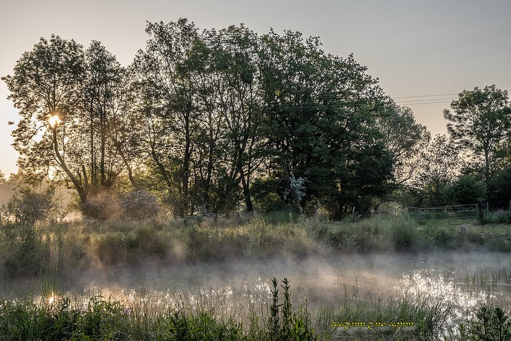 Perspective opposée