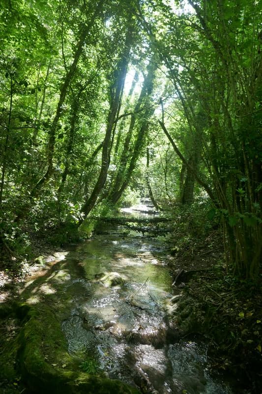 Verdure et eau Aiguebrun