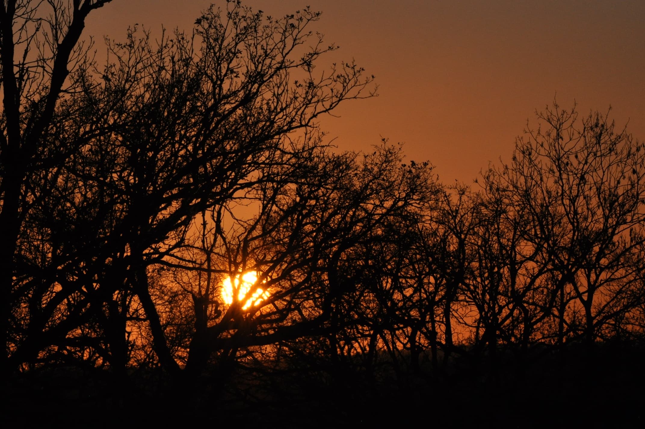 Ombre chinoise au coucher du soleil !!!