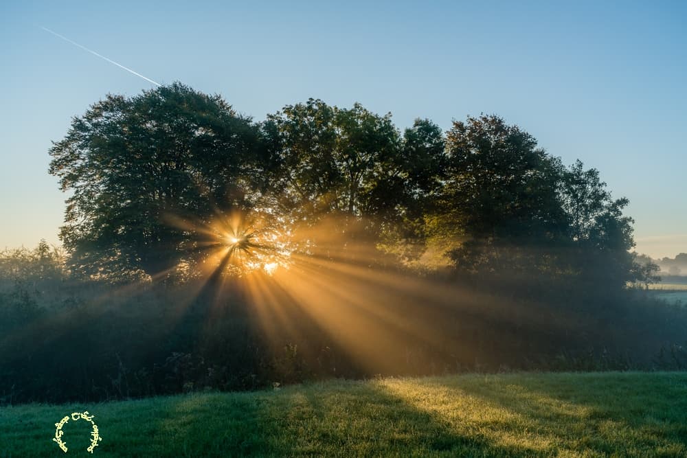 Des rayons dans le bocage
