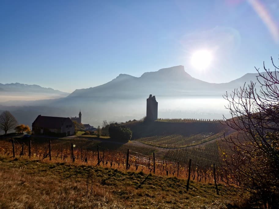 les-vignes-et-les-tours