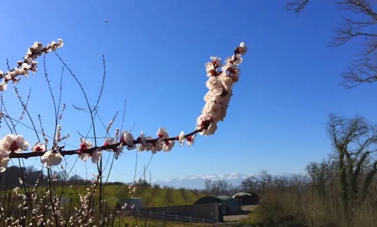 Image d'illustration pour Pic de douceur en vue : retour sur les mois de février printaniers