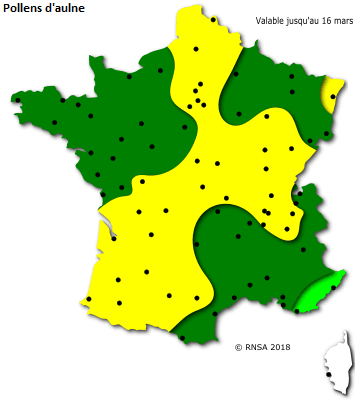 Image d'illustration pour Les pollens de printemps se disséminent 