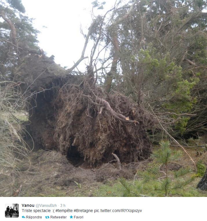 Image d'illustration pour Bilan du passage de la dépression Andrea