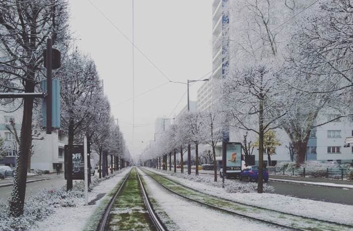 Image d'illustration pour Le plein hiver au Nord-Est - Un air de printemps au Sud
