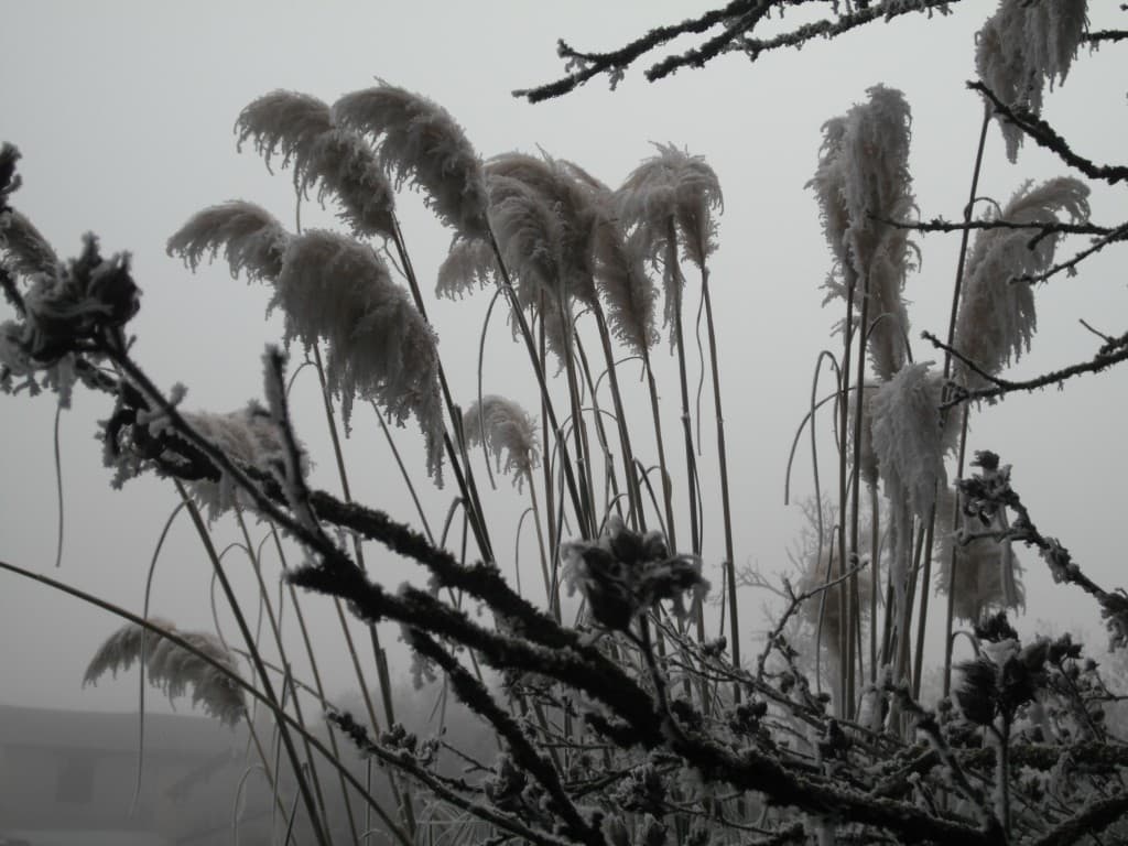 Image d'illustration pour Vos plus belles photos de givre