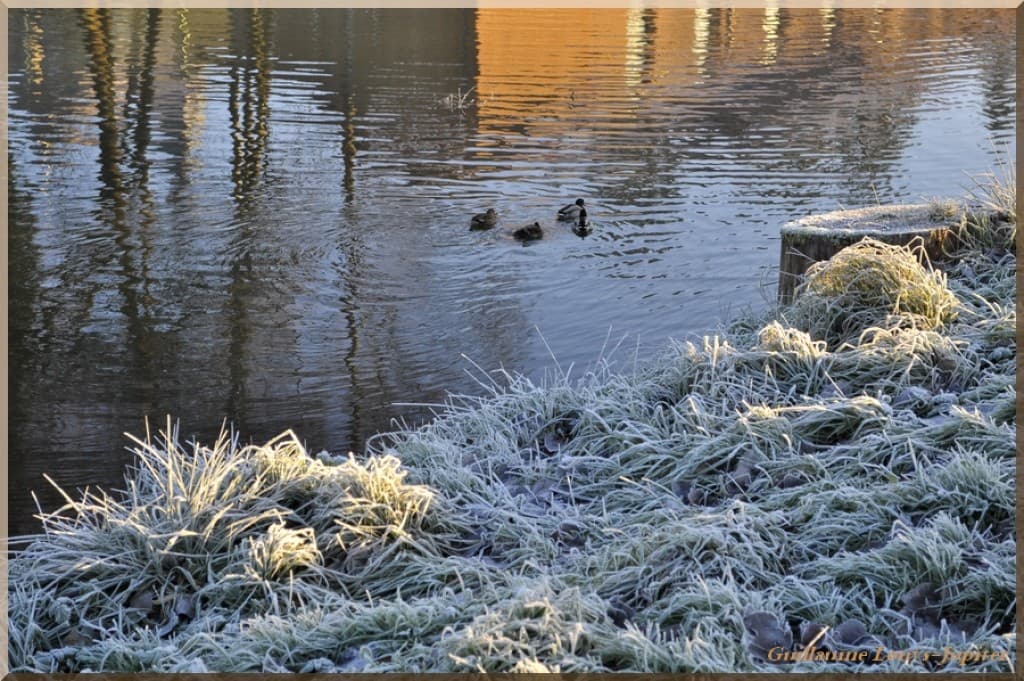 Image d'illustration pour Vos plus belles photos de givre