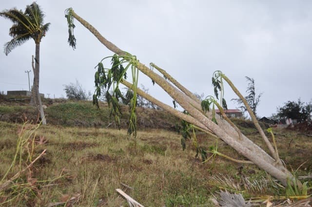 Image d'illustration pour Cyclone tropical intense Amara - Océan Indien - Ile Rodrigues