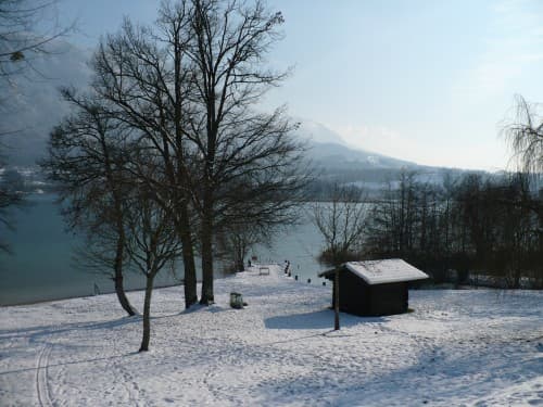 Bord du lac en hiver