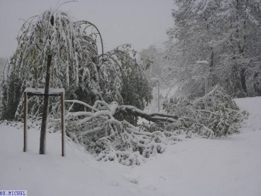premieres neiges