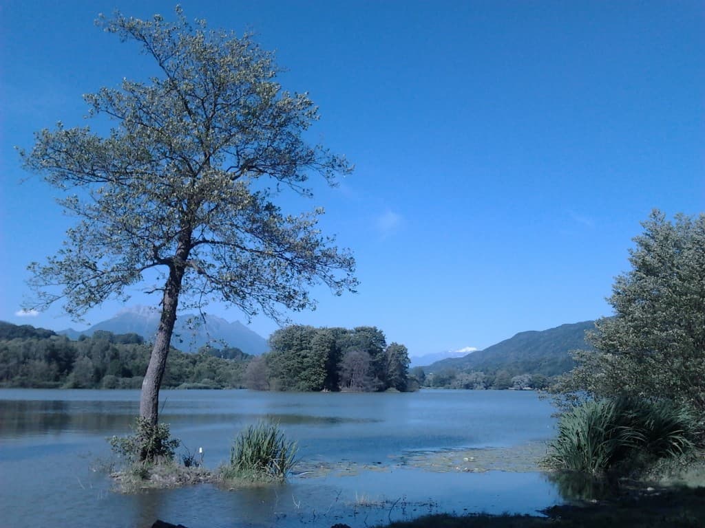 Vue sur le Mont Blanc