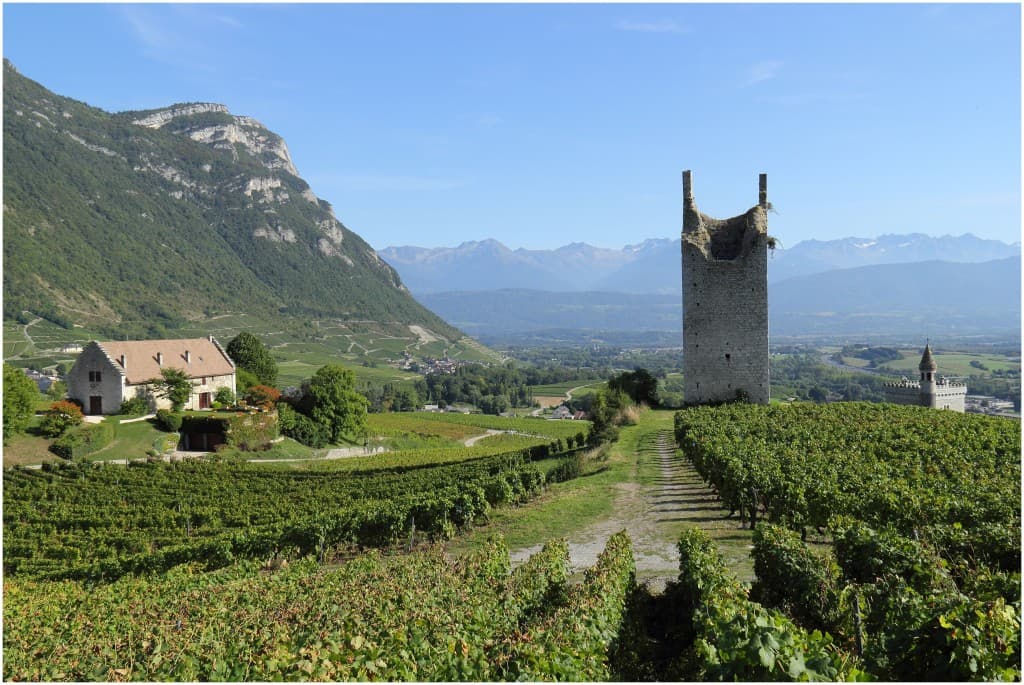 au coeur du vignoble de Chignin