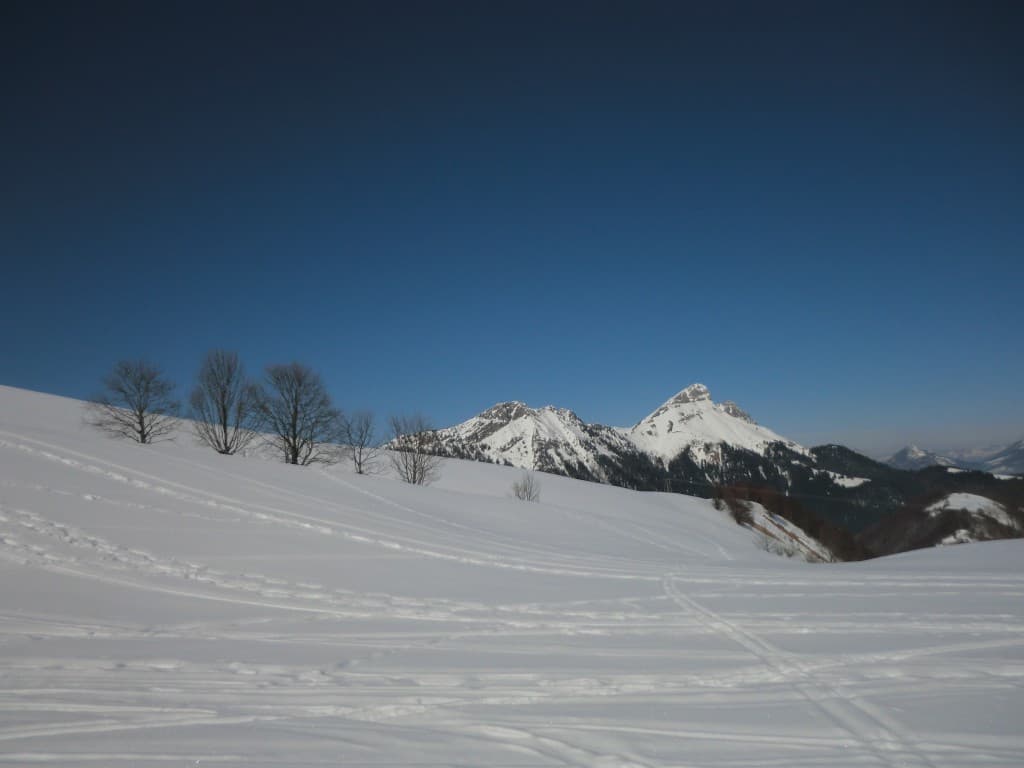 Le grand colombier Beauge