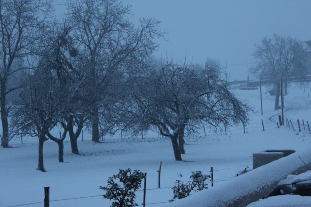 Les flocons