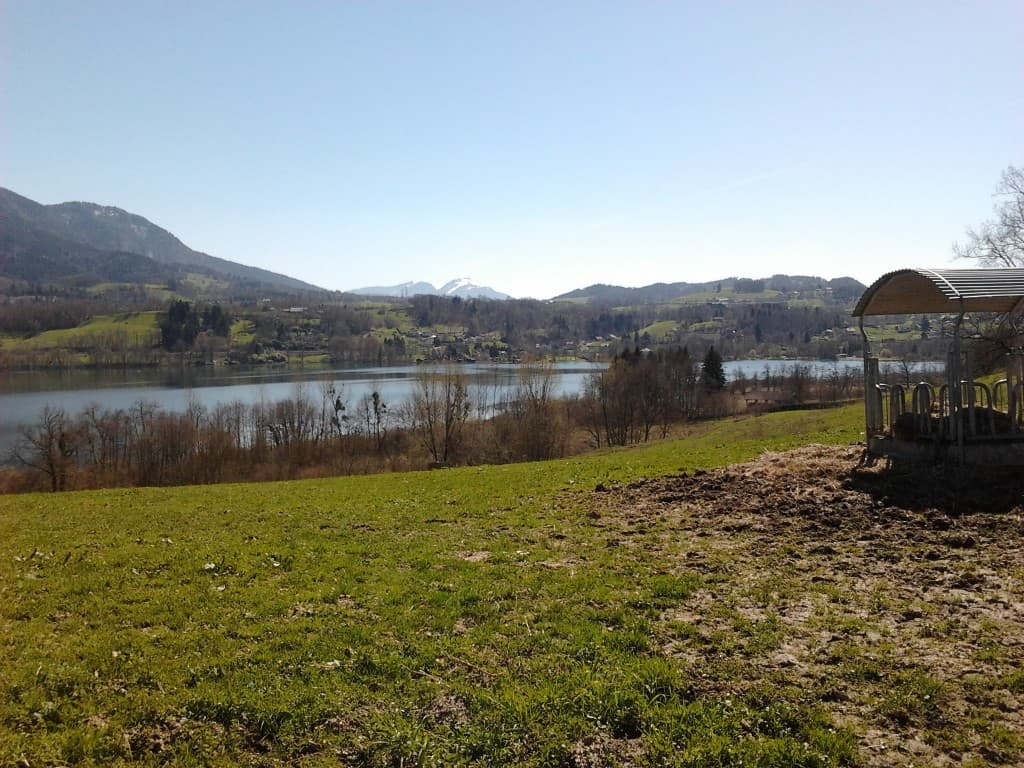 Printemps sur le lac