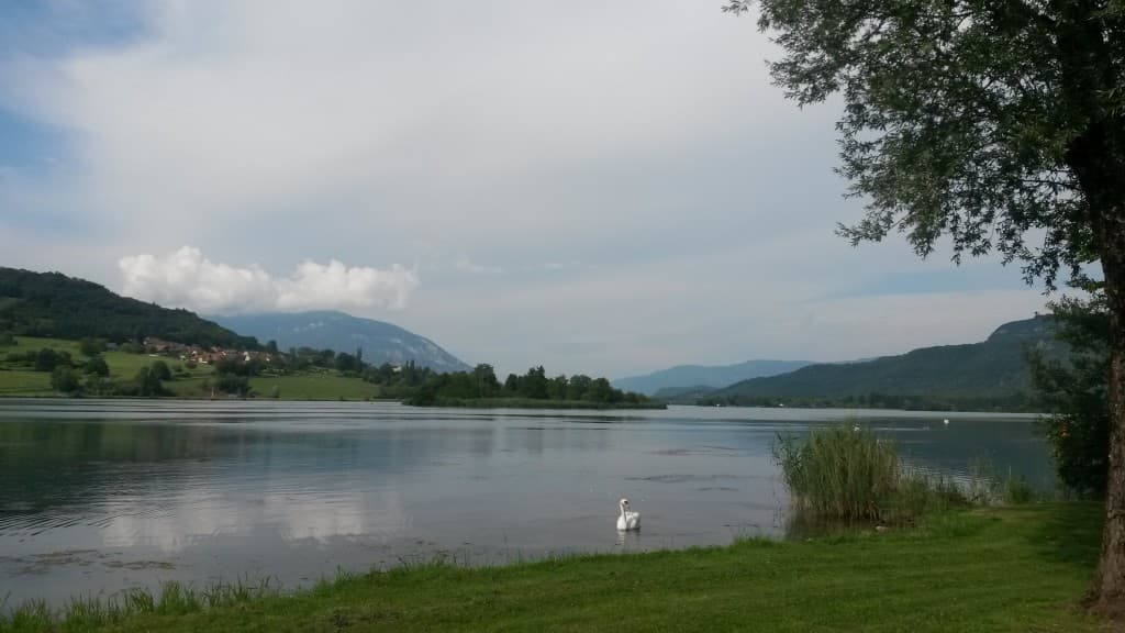 Bourgeonnement sur le Grand Colombier