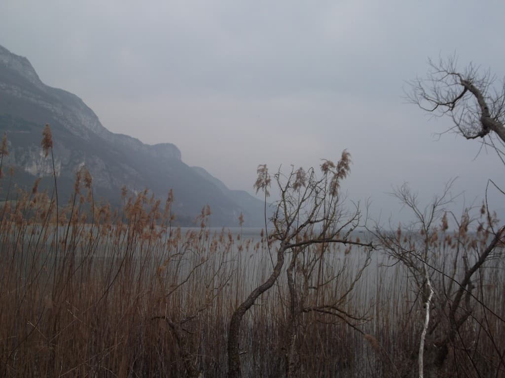  Berges sauvages  du lac  à Chatillon 