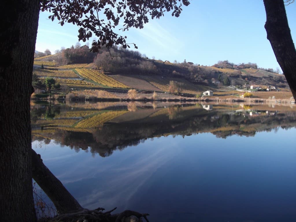 Effets miroirs sur le lac St André 