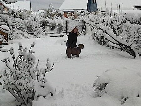 Image d'illustration pour Décembre froid : promesse d'un hiver glacial?