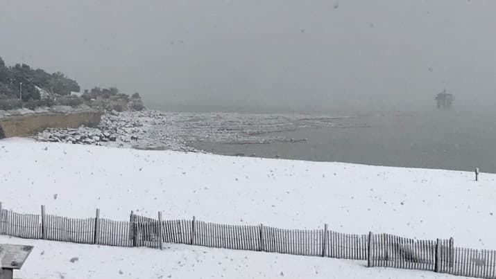 Image d'illustration pour Sevère et tardif coup de froid, vent glacial et neige