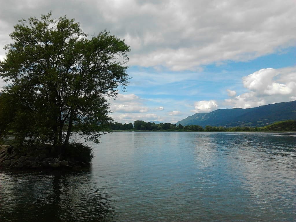 Lac du Bourget - proximité du marais de Chautagne